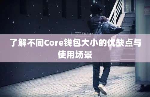 了解不同Core钱包大小的优缺点与使用场景