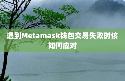 遇到Metamask钱包交易失败时该如何应对