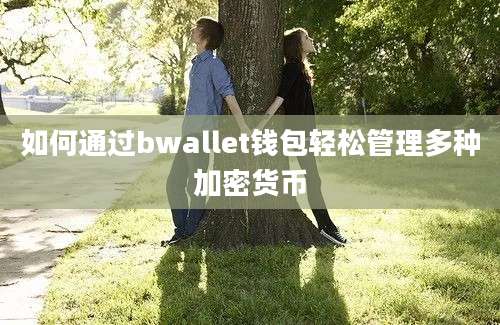 如何通过bwallet钱包轻松管理多种加密货币