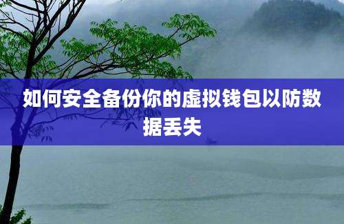 如何安全备份你的虚拟钱包以防数据丢失