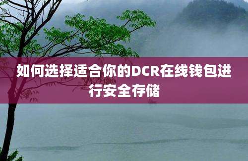 如何选择适合你的DCR在线钱包进行安全存储