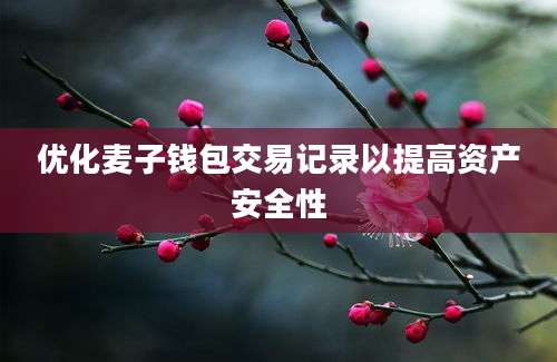 优化麦子钱包交易记录以提高资产安全性