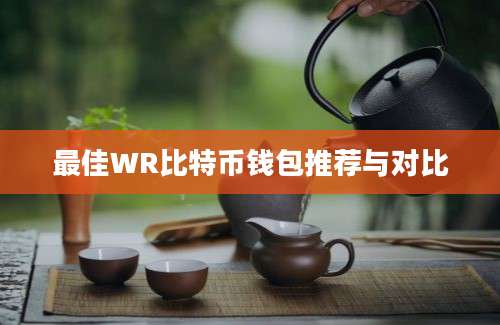 最佳WR比特币钱包推荐与对比