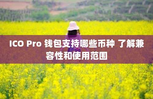 ICO Pro 钱包支持哪些币种 了解兼容性和使用范围