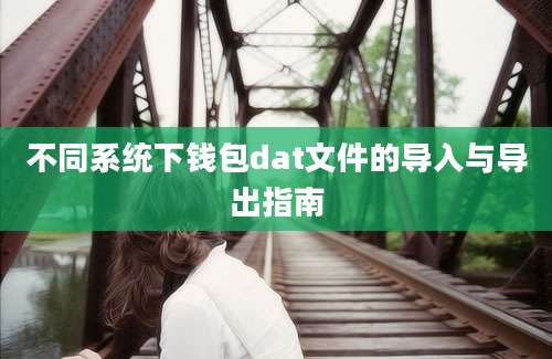 不同系统下钱包dat文件的导入与导出指南