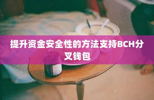 提升资金安全性的方法支持BCH分叉钱包