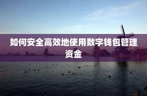 如何安全高效地使用数字钱包管理资金