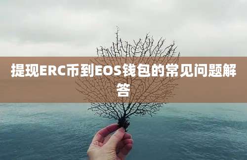 提现ERC币到EOS钱包的常见问题解答