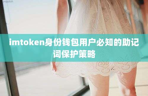 imtoken身份钱包用户必知的助记词保护策略