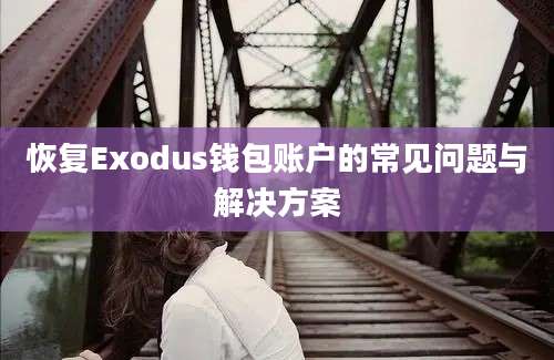 恢复Exodus钱包账户的常见问题与解决方案