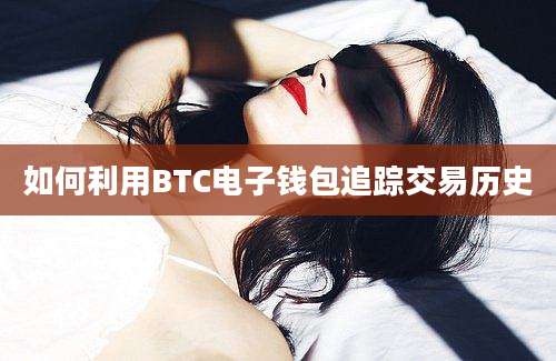 如何利用BTC电子钱包追踪交易历史