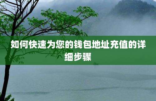 如何快速为您的钱包地址充值的详细步骤