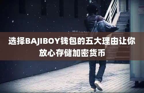 选择BAJIBOY钱包的五大理由让你放心存储加密货币