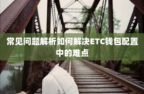 常见问题解析如何解决ETC钱包配置中的难点