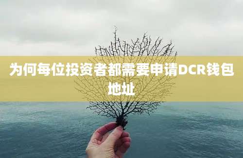 为何每位投资者都需要申请DCR钱包地址