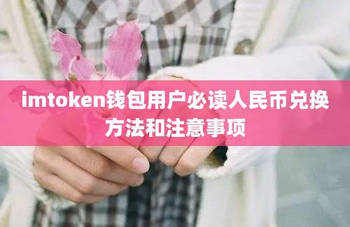 imtoken钱包用户必读人民币兑换方法和注意事项