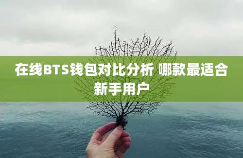 在线BTS钱包对比分析 哪款最适合新手用户