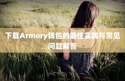 下载Armory钱包的最佳实践与常见问题解答