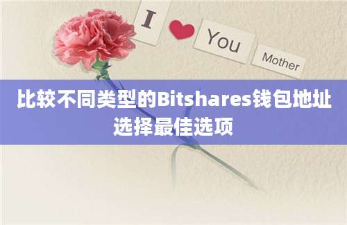 比较不同类型的Bitshares钱包地址选择最佳选项