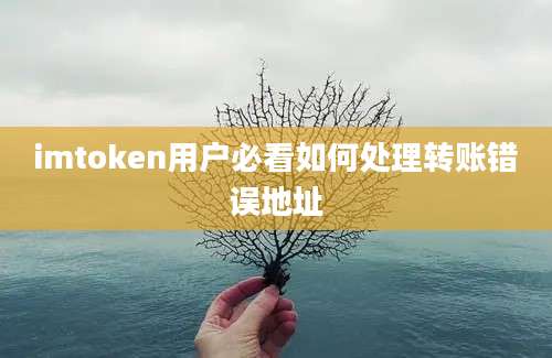 imtoken用户必看如何处理转账错误地址