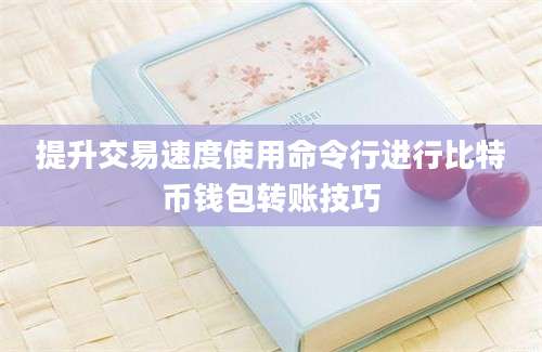 提升交易速度使用命令行进行比特币钱包转账技巧