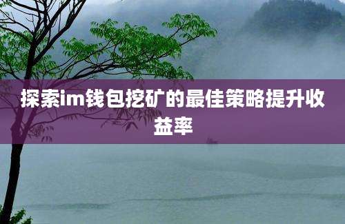 探索im钱包挖矿的最佳策略提升收益率