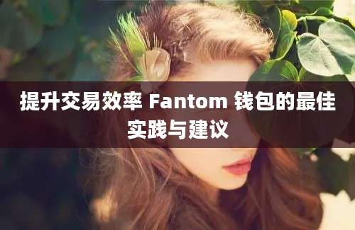 提升交易效率 Fantom 钱包的最佳实践与建议