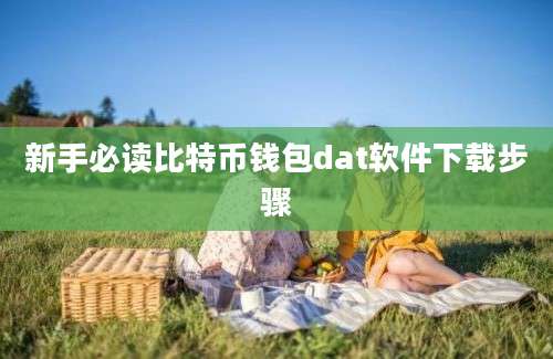 新手必读比特币钱包dat软件下载步骤