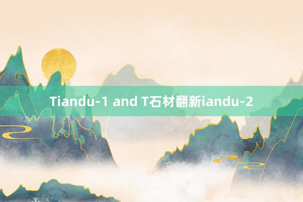 Tiandu-1 and T石材翻新iandu-2